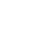 Icono_Illustrator_solocirculo